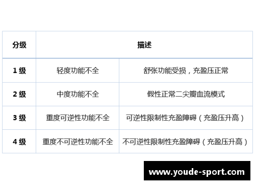 球员：技术与领导力的分级评估